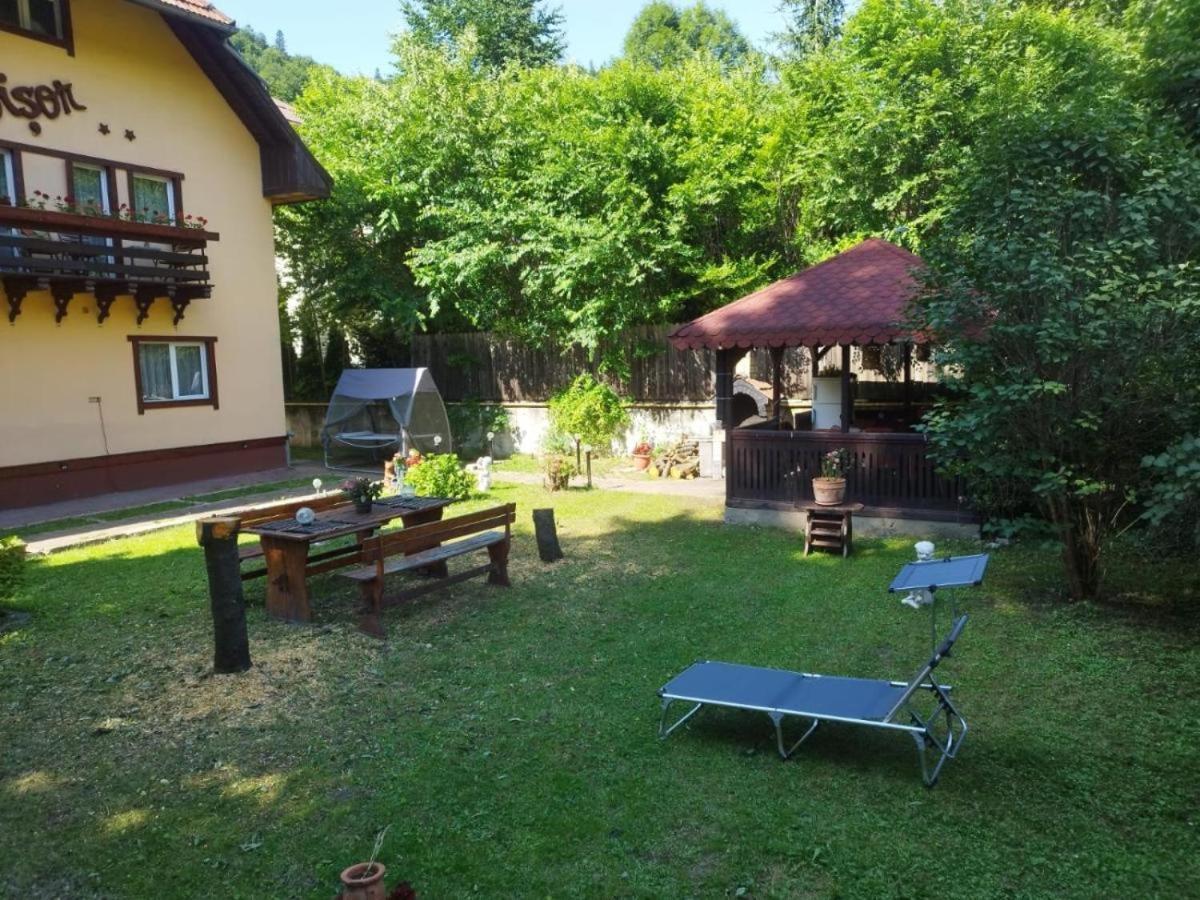 Villa Foisor Buşteni Exteriör bild