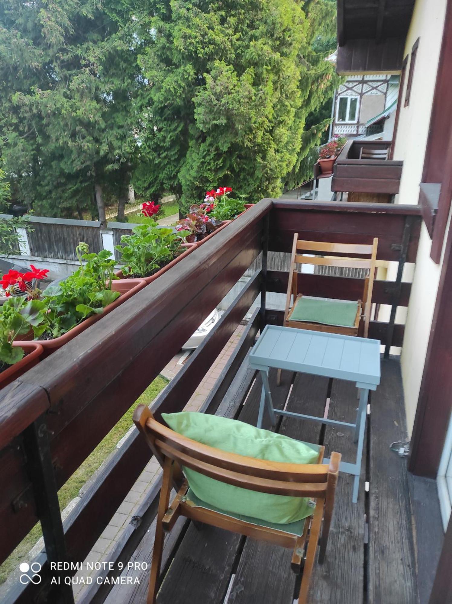Villa Foisor Buşteni Exteriör bild