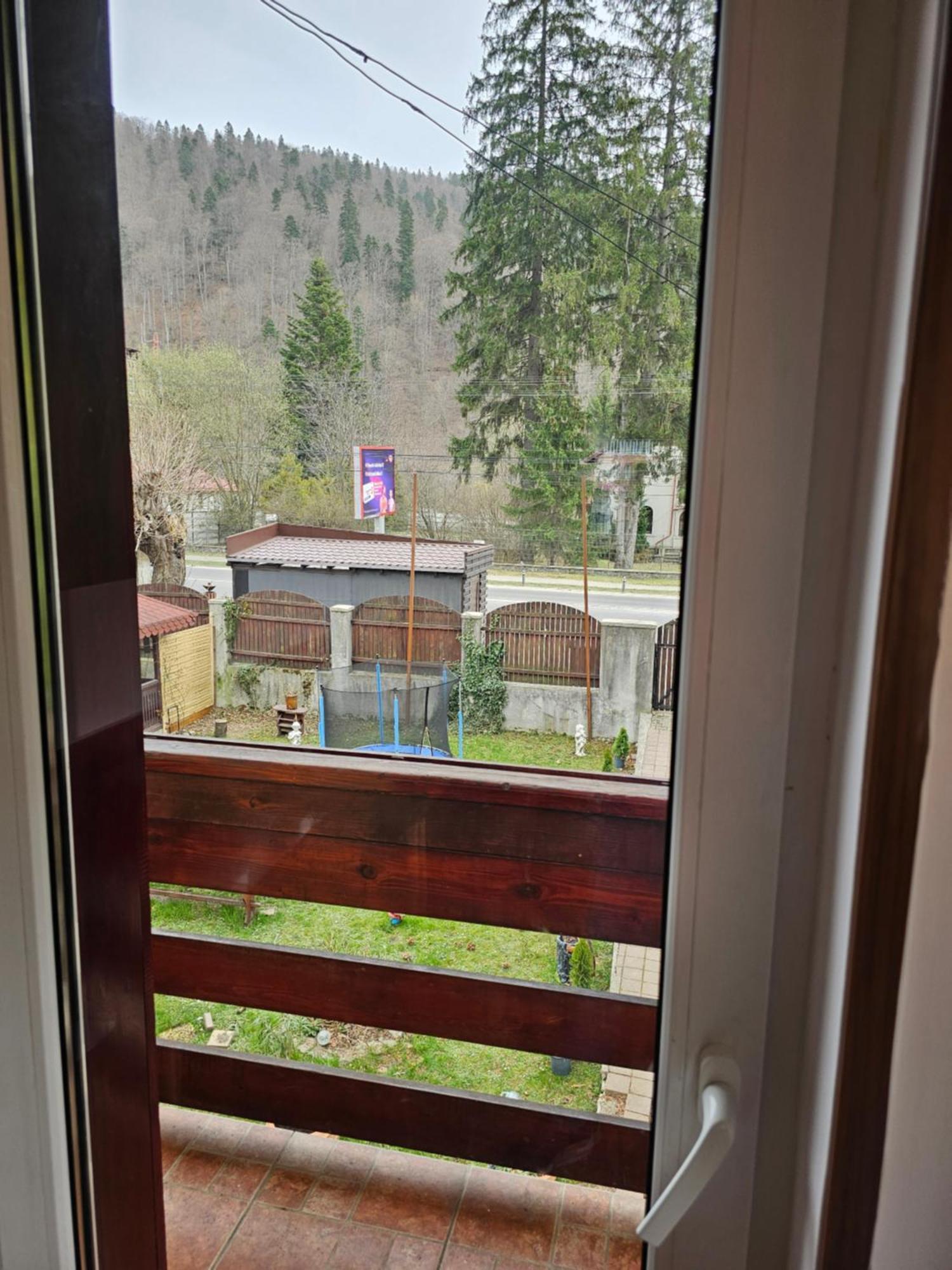 Villa Foisor Buşteni Exteriör bild